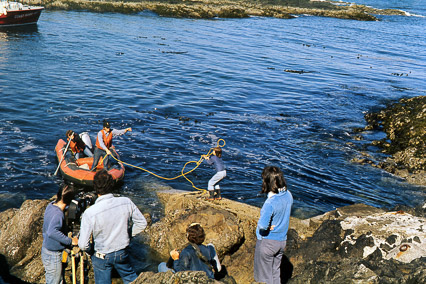Beautiful Lennard Island, 1977
